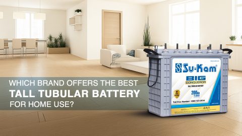 best tall tubular battery
