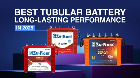best tubular battery