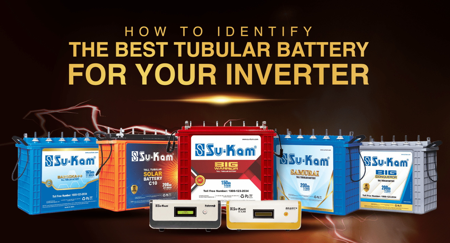 best tubular battery